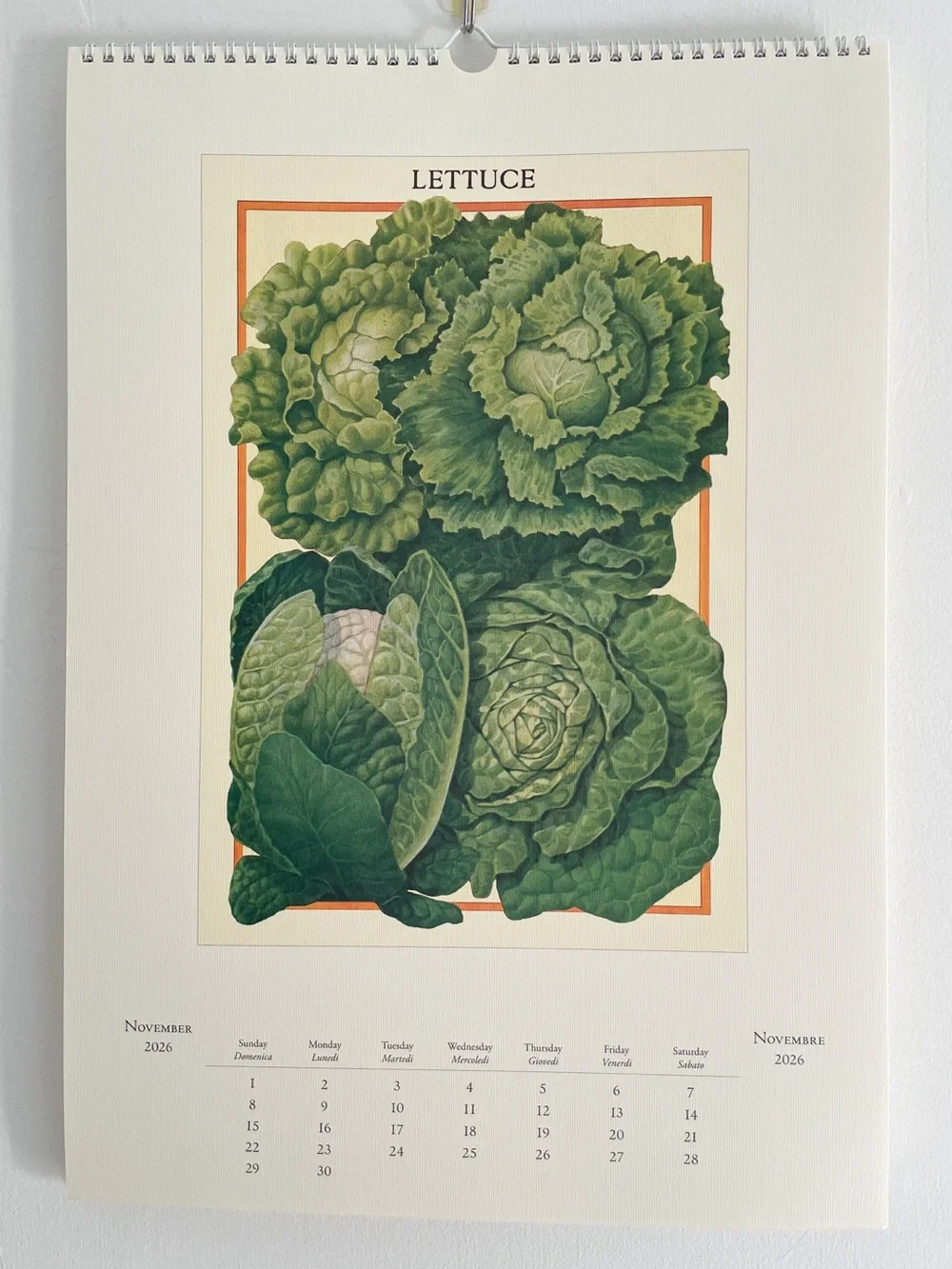 Cavallini 2026 Farmers Market Wall Calendar Vintage Botanical Vegetable Art NEW